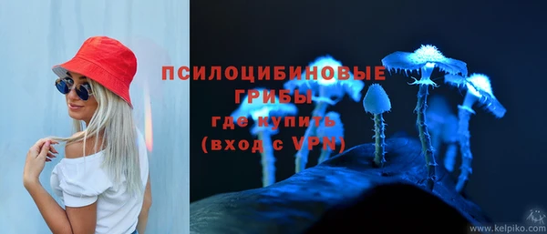 ECSTASY Дмитровск