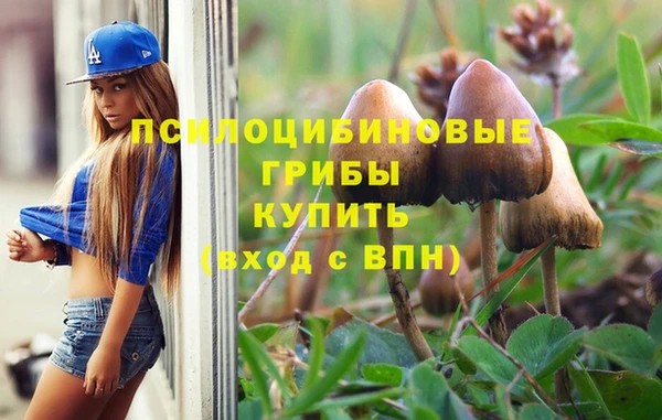 ECSTASY Дмитровск