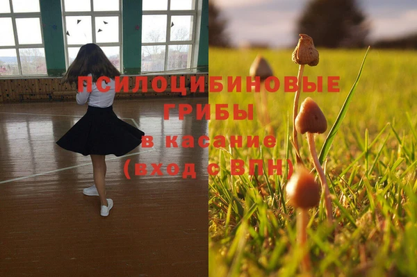 мет Дмитров
