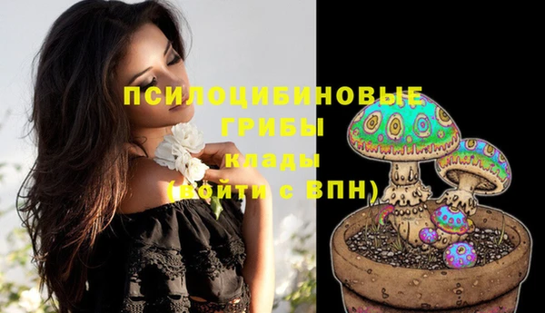 mdma Белая Холуница