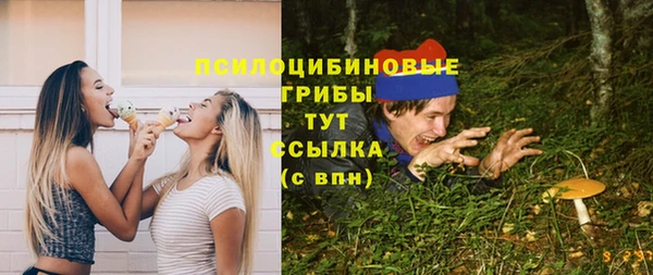 мет Дмитров