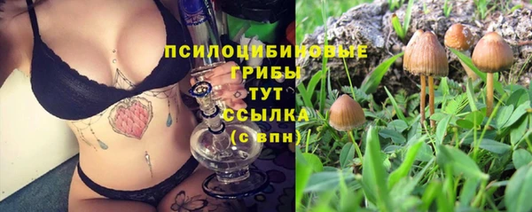 соль курить ск Дмитриев