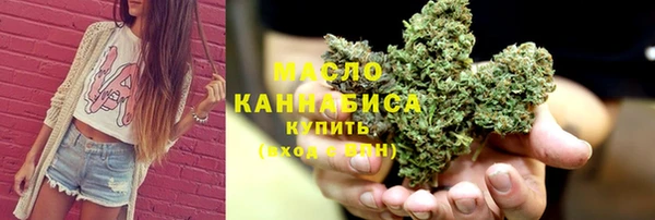 мет Дмитров